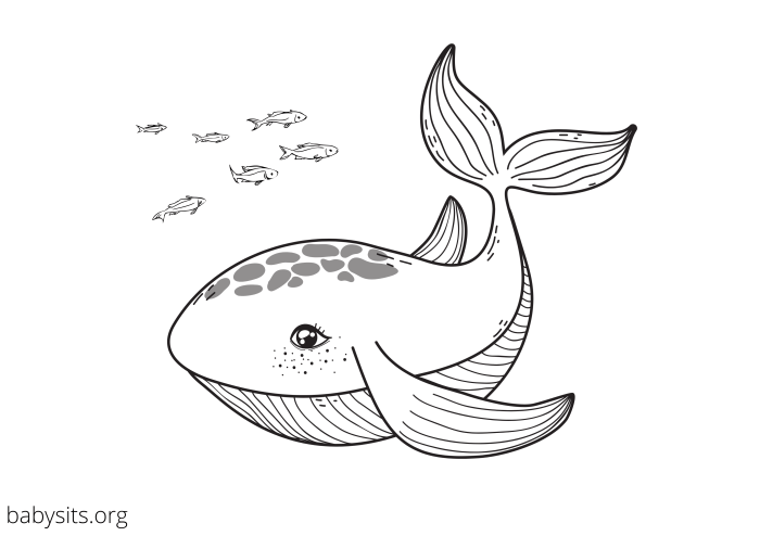 Cartoon sea animal coloring pages