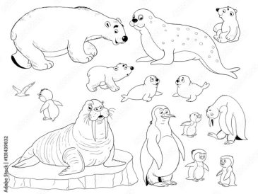 Arctic animals coloring pages for preschoolers