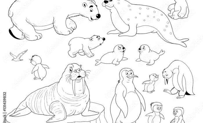 Arctic animals coloring pages for preschoolers