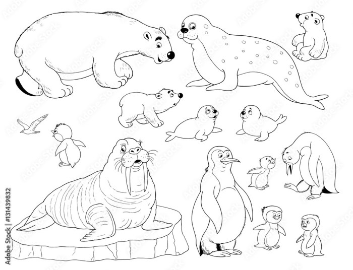 Arctic animals coloring pages for preschoolers