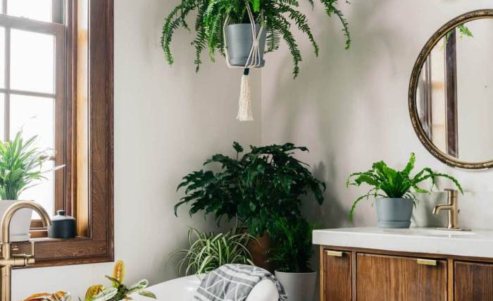 Bathroom plant decor ideas