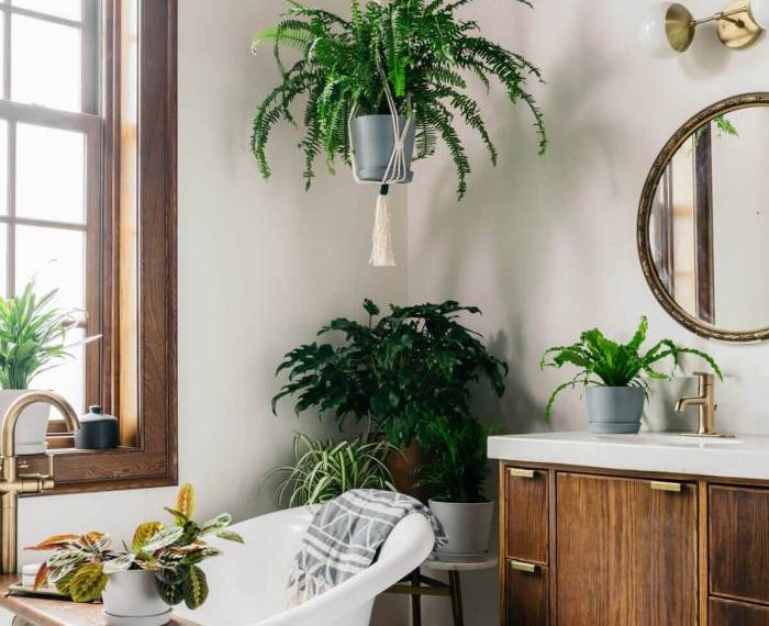 Bathroom plant decor ideas