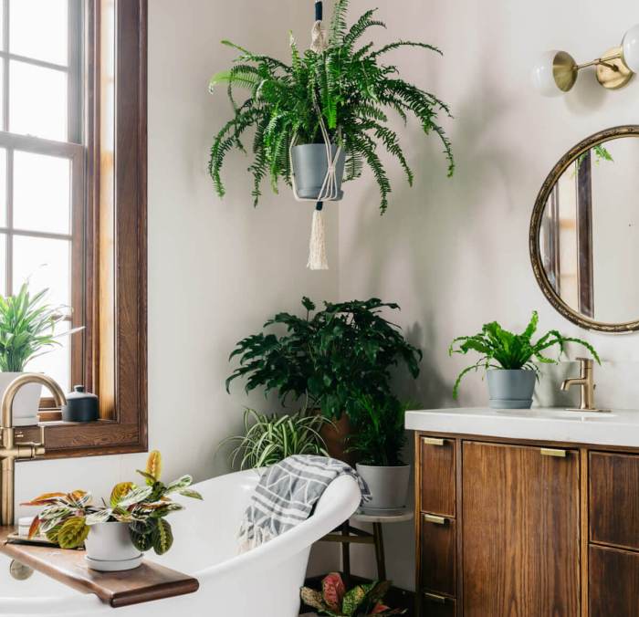 Bathroom plant decor ideas