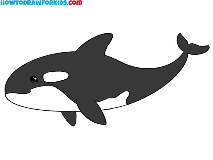 Drawing of a killer whale easy