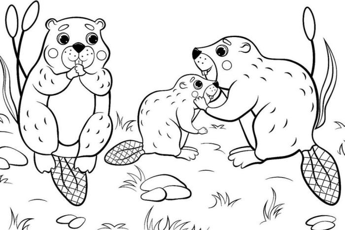 Coloring pages of animals printable