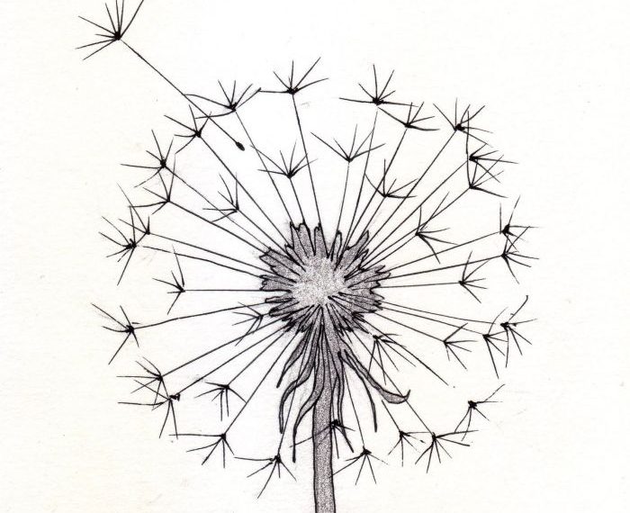 Dandelion seed easy drawing