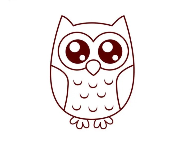 Kelp owl drawing easy