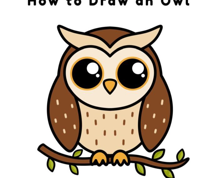 Kelp owl drawing easy