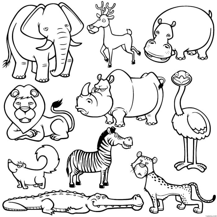 Coloring book for kids animals