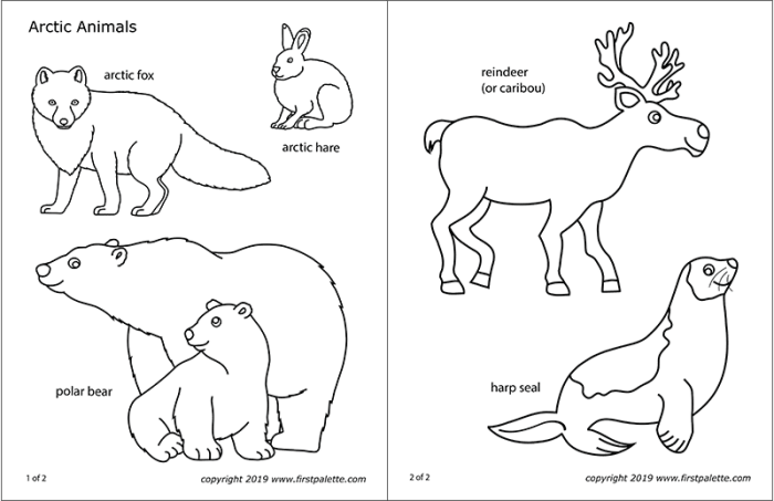 Animals coloring pages arctic polar sheets getdrawings