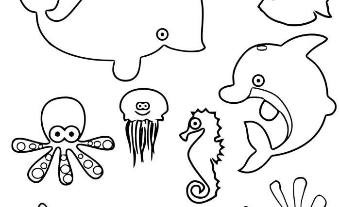 Coloring pages sea animals