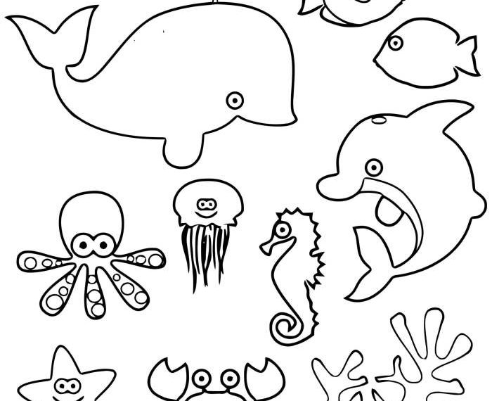 Coloring pages sea animals