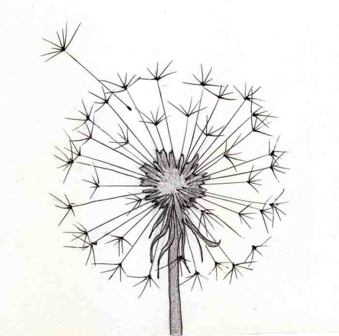 Dandelion seed easy drawing