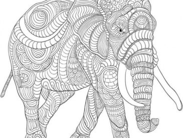 Coloring pages of cute animals hard