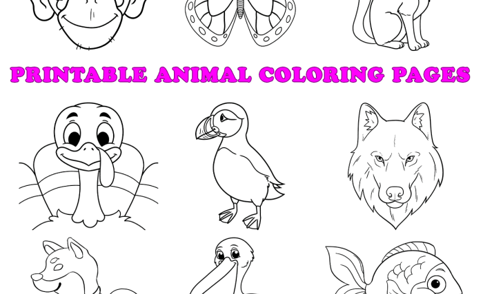 Animal coloring sheets preschool