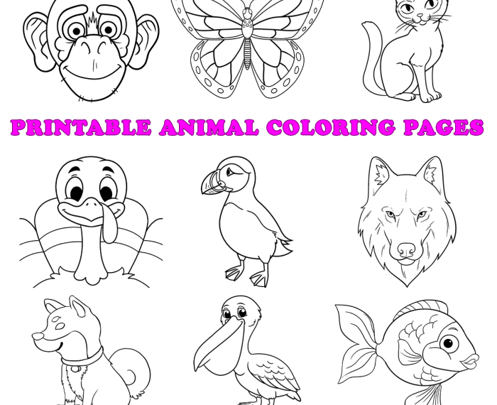 Animal coloring sheets preschool