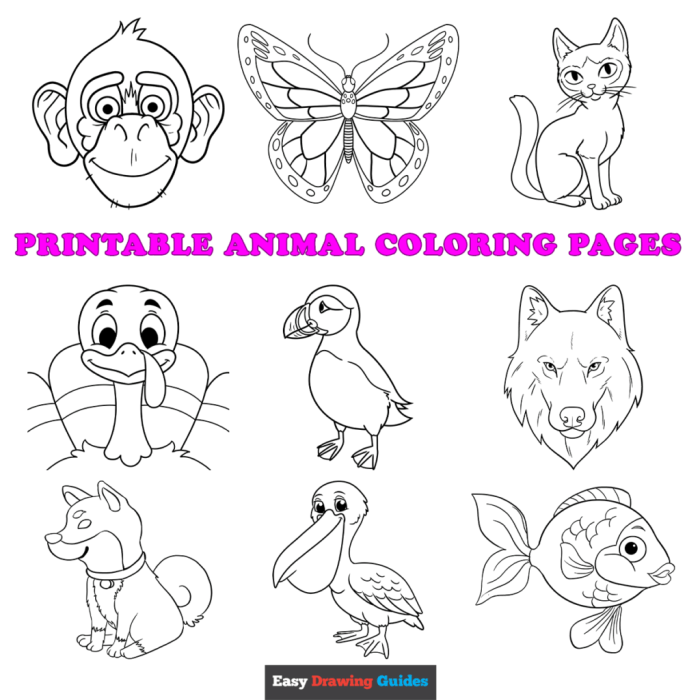 Black white coloring pictures of animals