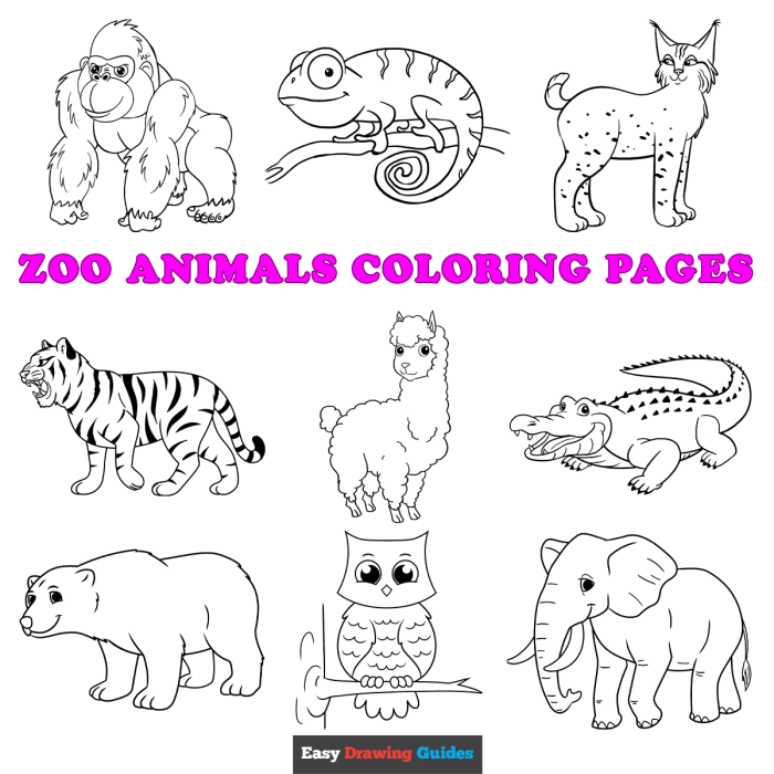 Animal coloring postcards free