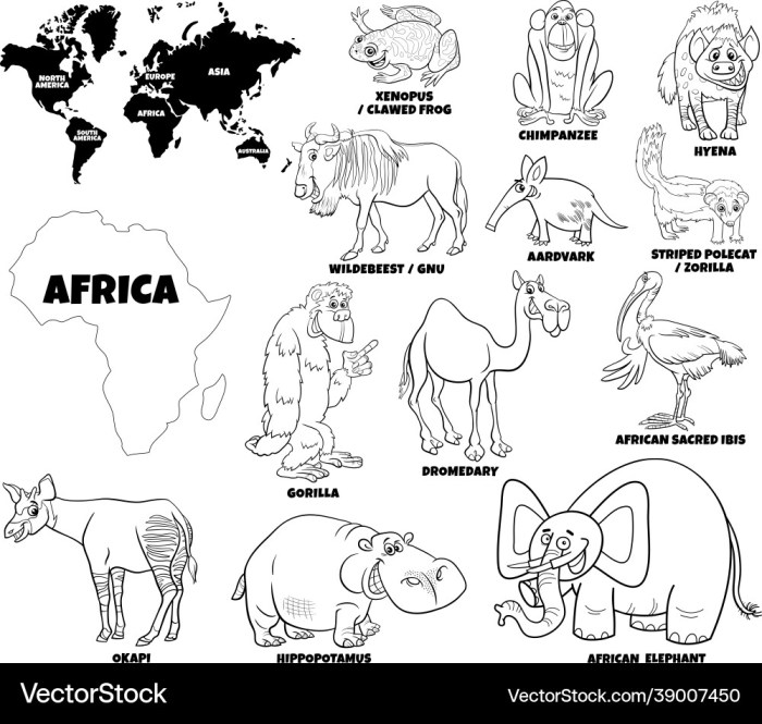 African animals coloring page