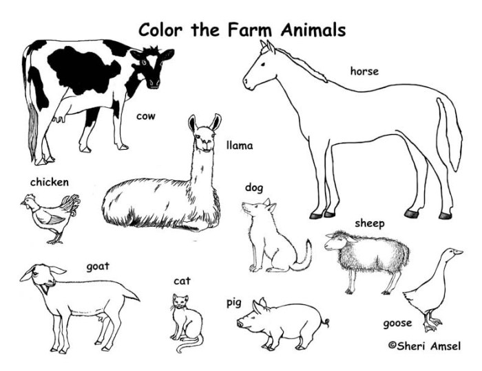 Farm colouring animal pages printable coloring animals printables kids book farmyard tractor sheets print toddlers sheep pig little horse messylittlemonster