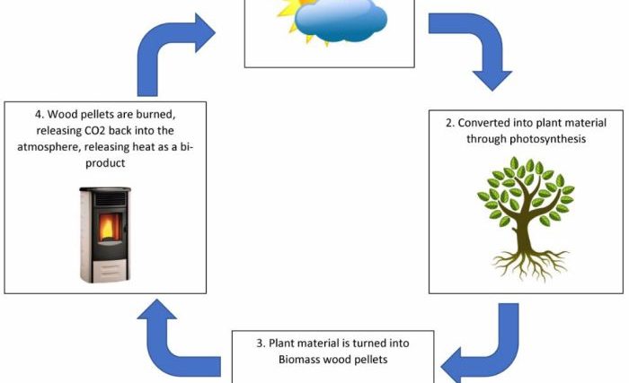 Biomass energy easy diagram drawing