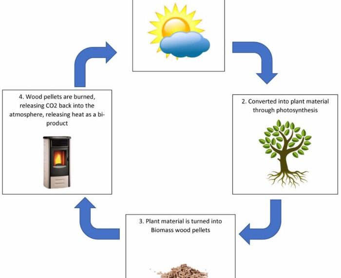 Biomass energy easy diagram drawing