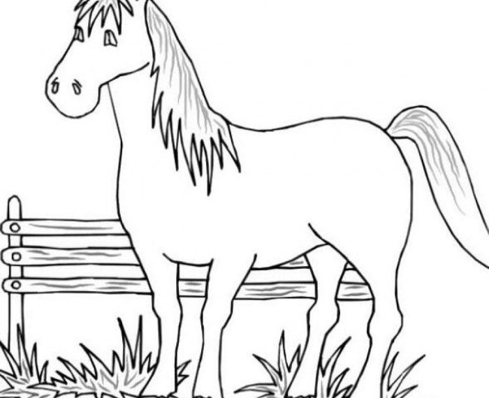 Farm coloring pages with animals free