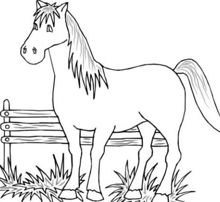 Farm coloring pages with animals free