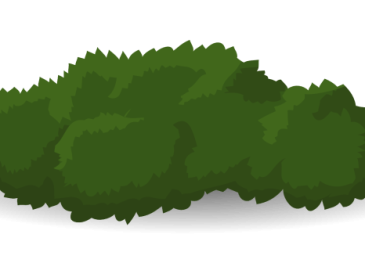 Easy drawing of bushes