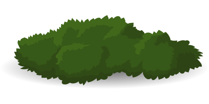 Easy drawing of bushes