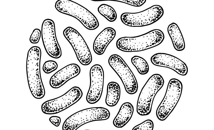 Bacteria having a party drawing easy