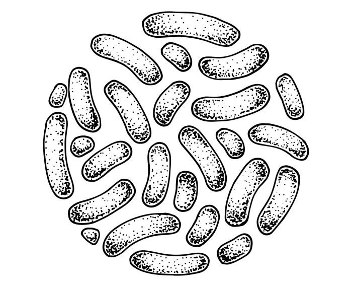 Bacteria having a party drawing easy