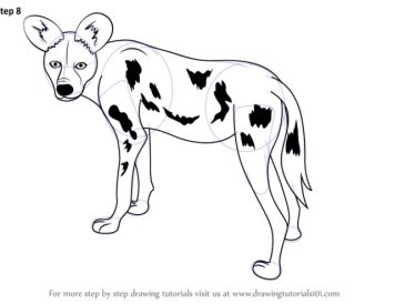 Easy drawing of a wild dog