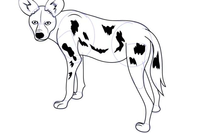 Easy drawing of a wild dog