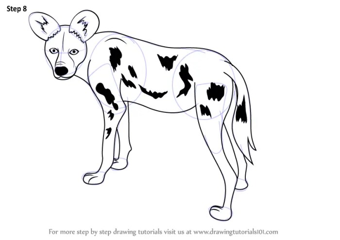 Easy drawing of a wild dog