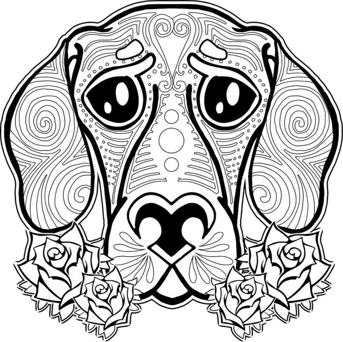 Amazing animal coloring pages