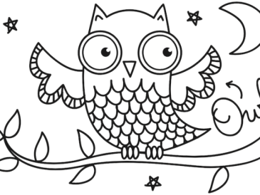 Coloring pictures of nocturnal animals