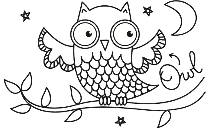 Coloring pictures of nocturnal animals