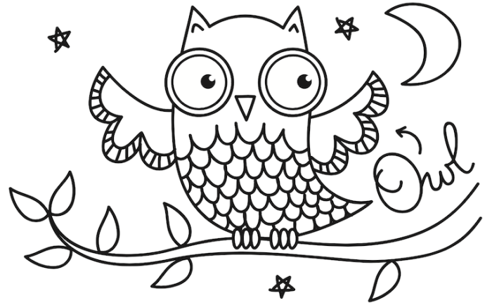 Coloring pictures of nocturnal animals