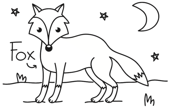 Coloring pictures of nocturnal animals