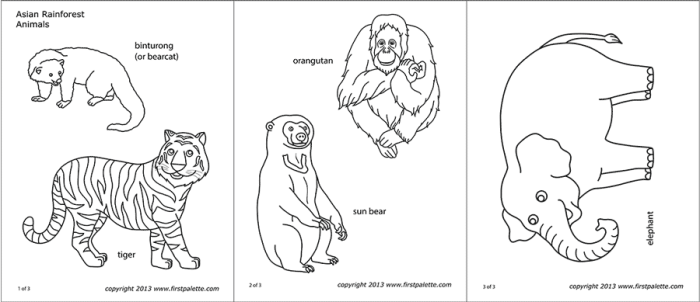 Coloring sheets for asia animals and names