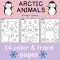 Arctic Animals Coloring Pages for Preschoolers