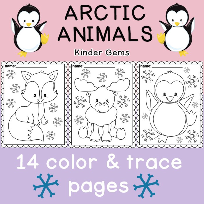 Free printable arctic animal coloring pages