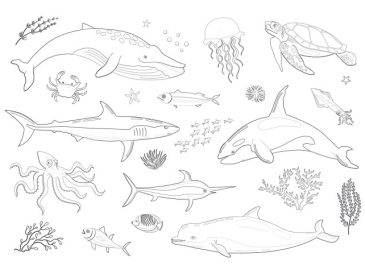 Coloring page marine animals