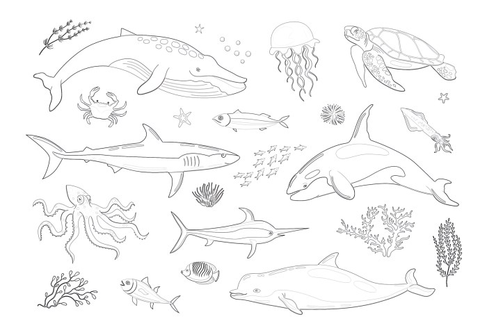 Coloring page marine animals